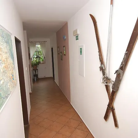 Πανσιόν Lipno Jantar Horní Planá